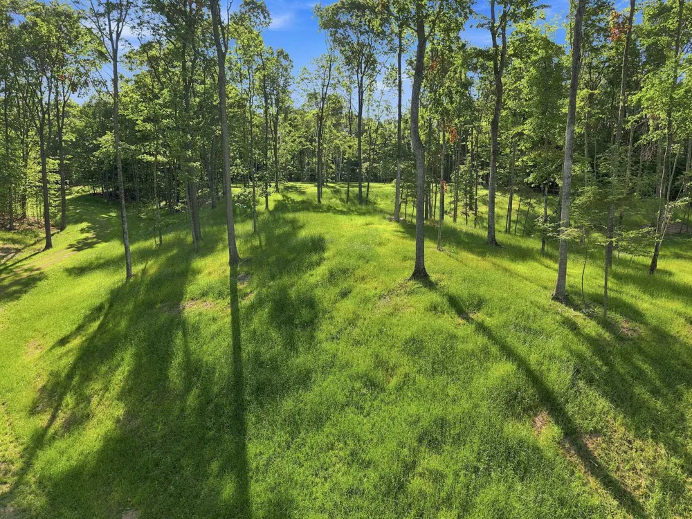 18502 Peninsula Drive Peninsula Township, MI 49686