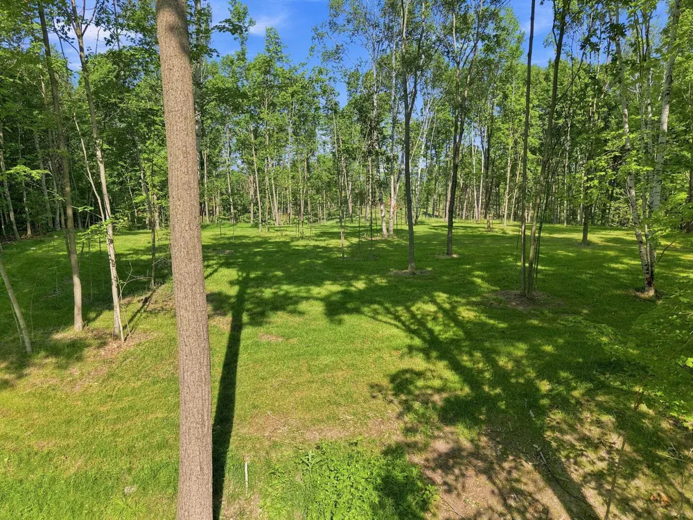 18502 Peninsula Drive Peninsula Township, MI 49686