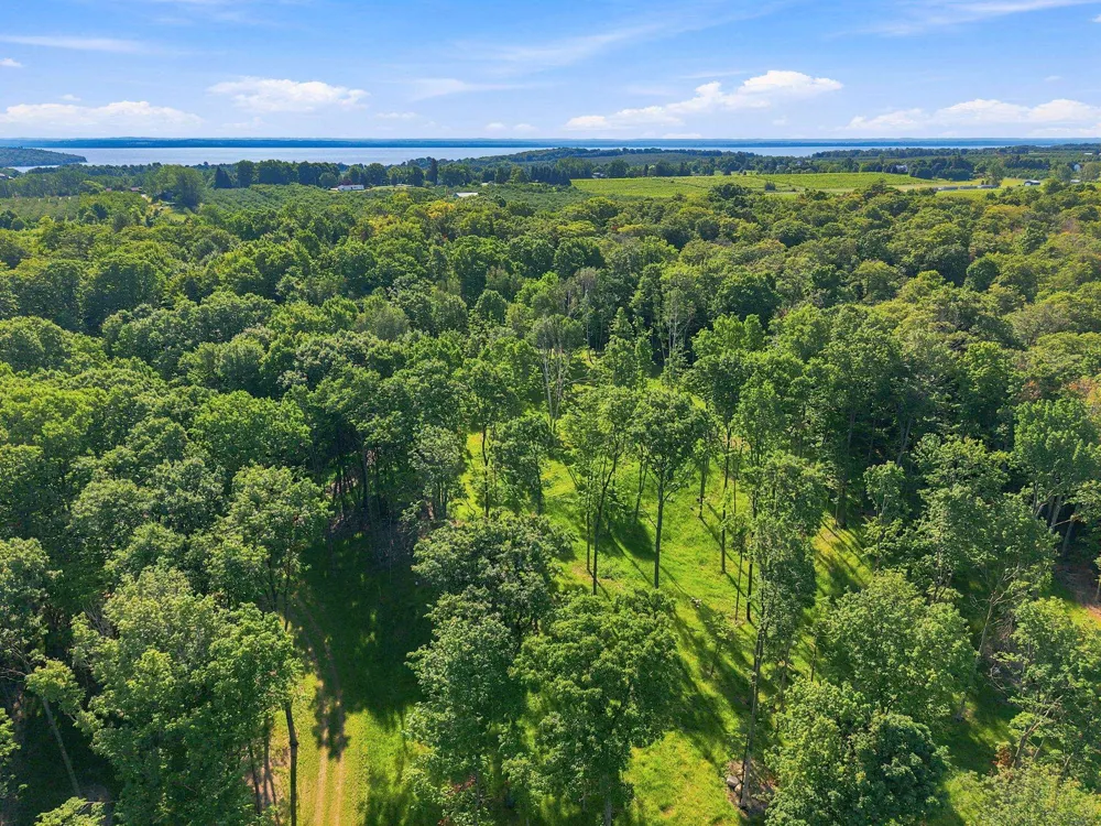 18502 Peninsula Drive Peninsula Township, MI 49686