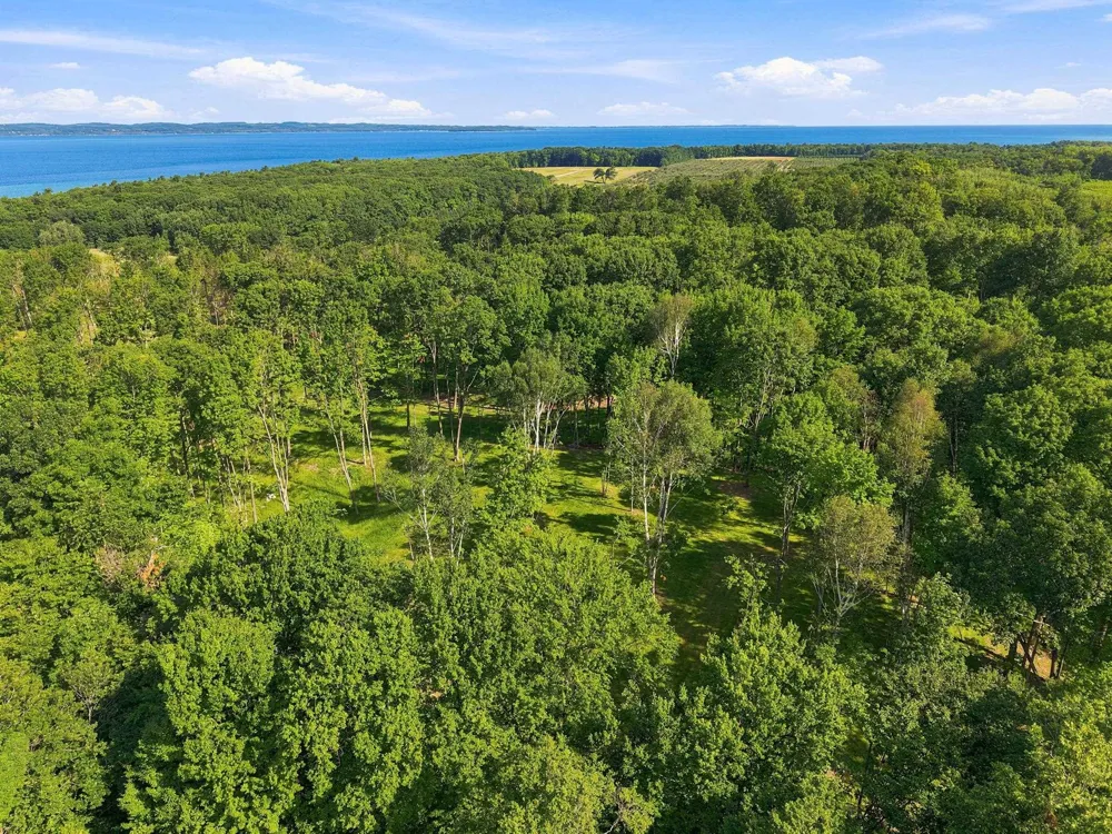 18502 Peninsula Drive Peninsula Township, MI 49686