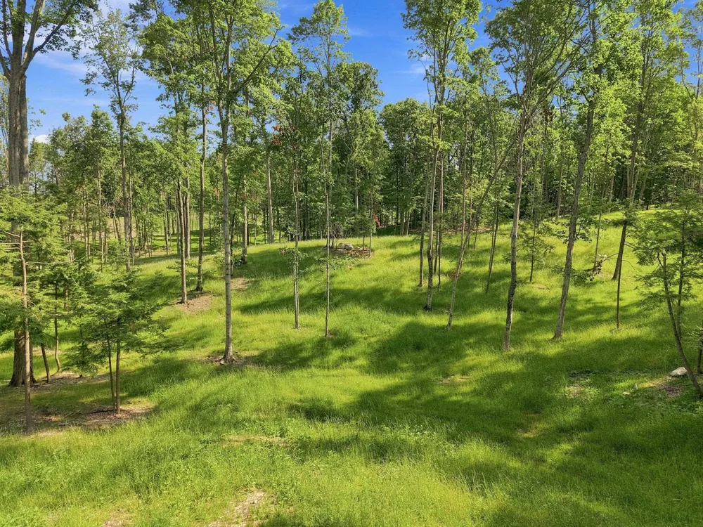 18502 Peninsula Drive Peninsula Township, MI 49686