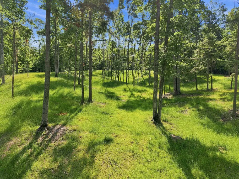 18502 Peninsula Drive Peninsula Township, MI 49686