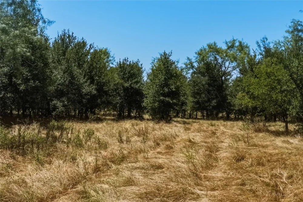 480 Tucker Road Perrin, TX 76486