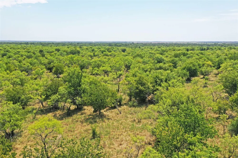 480 Tucker Road Perrin, TX 76486