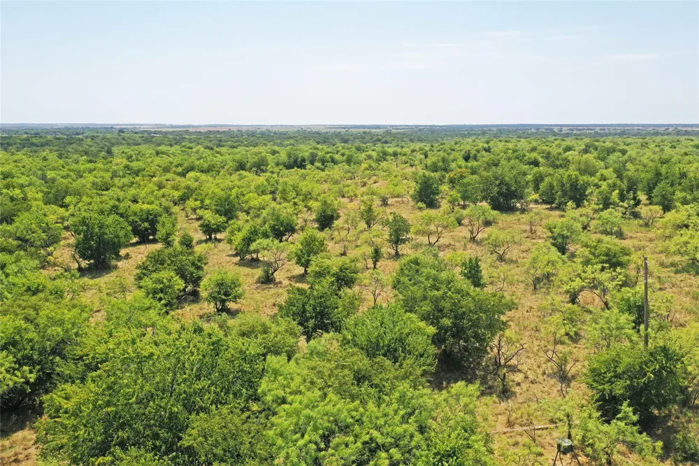 480 Tucker Road Perrin, TX 76486