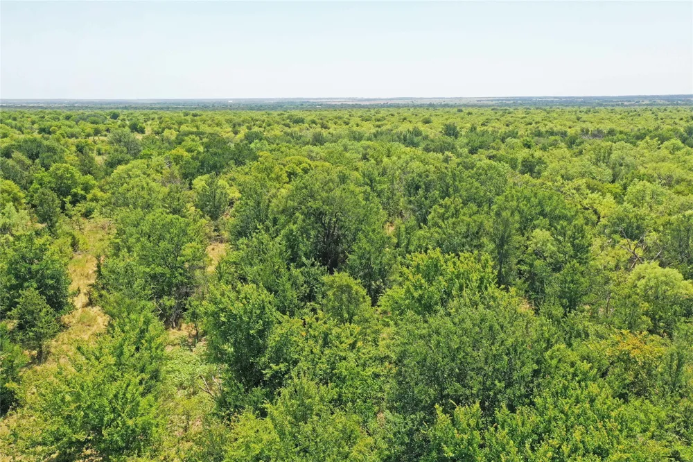 480 Tucker Road Perrin, TX 76486