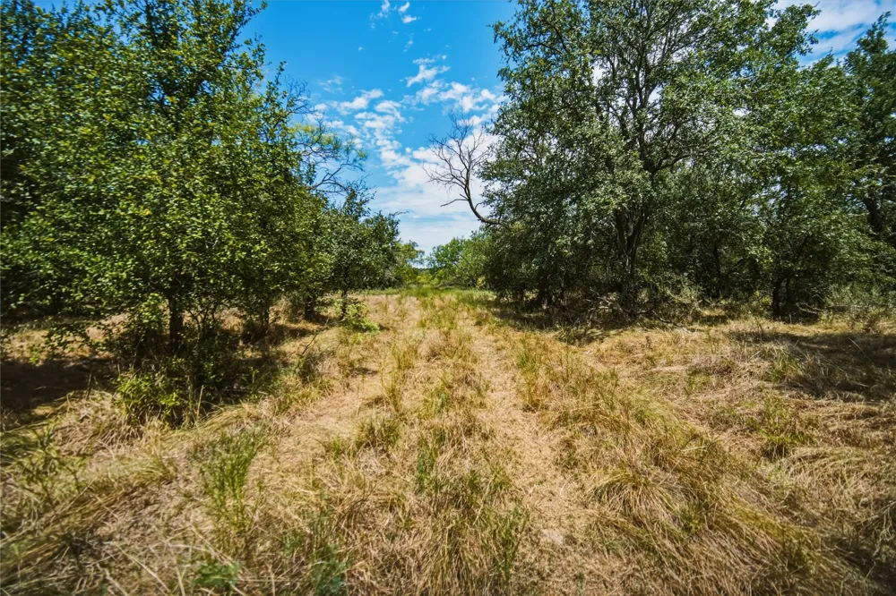 480 Tucker Road Perrin, TX 76486