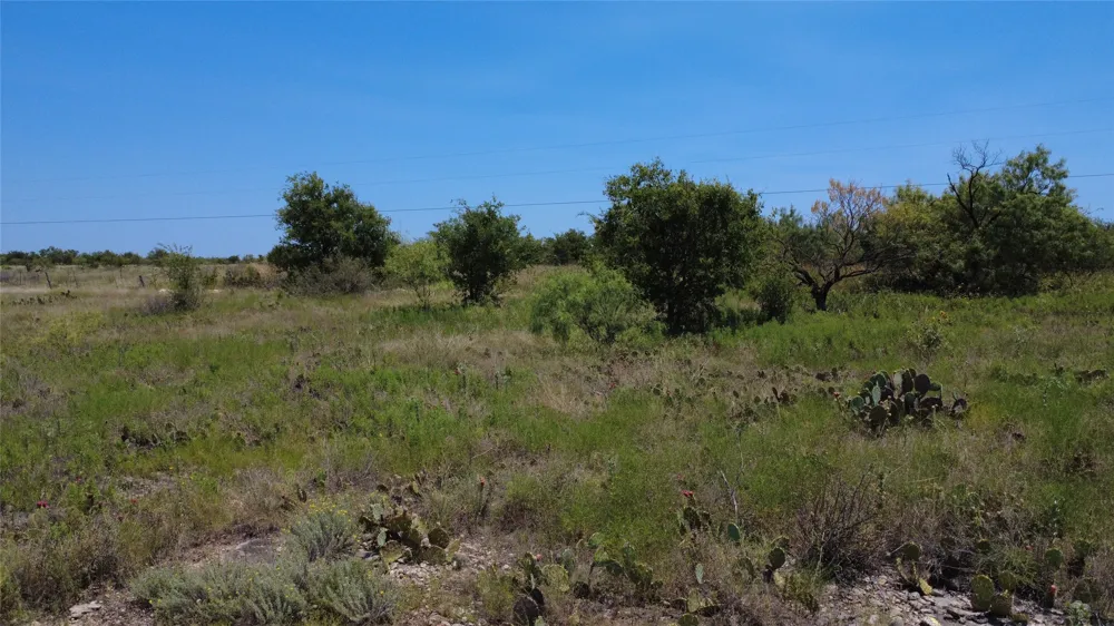 County Road 161 Bangs, TX 76823