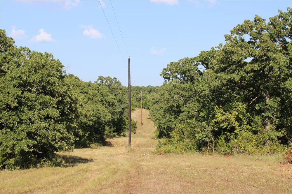 CR 1790 Sunset, TX 76270