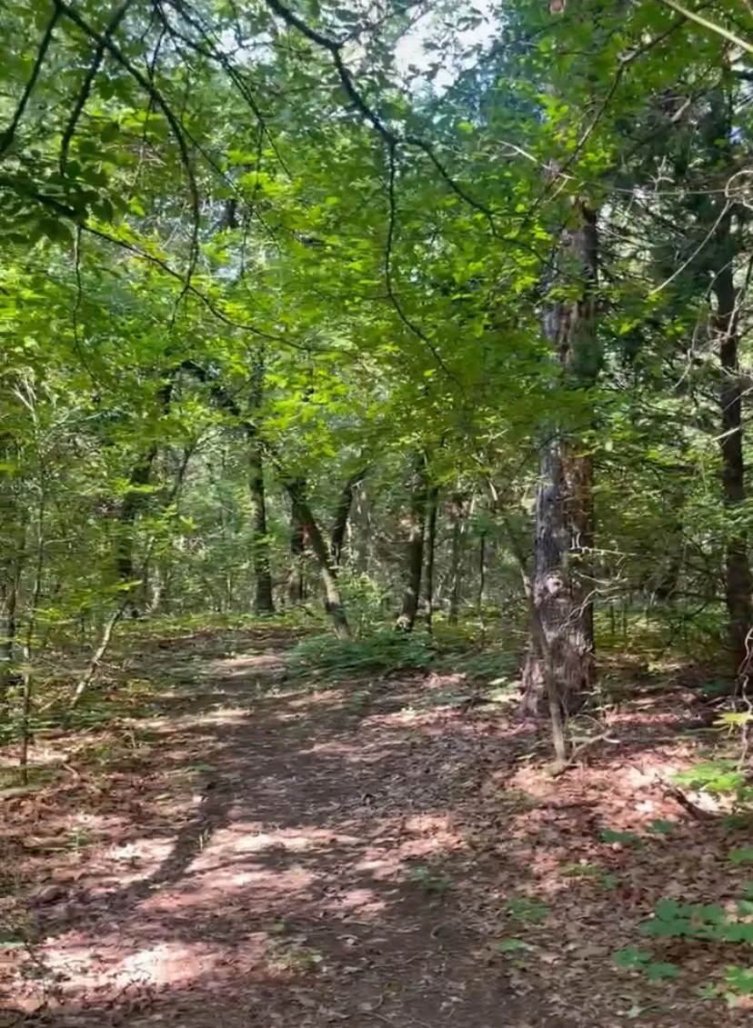 4571 Running Branch Aubrey, TX 76227