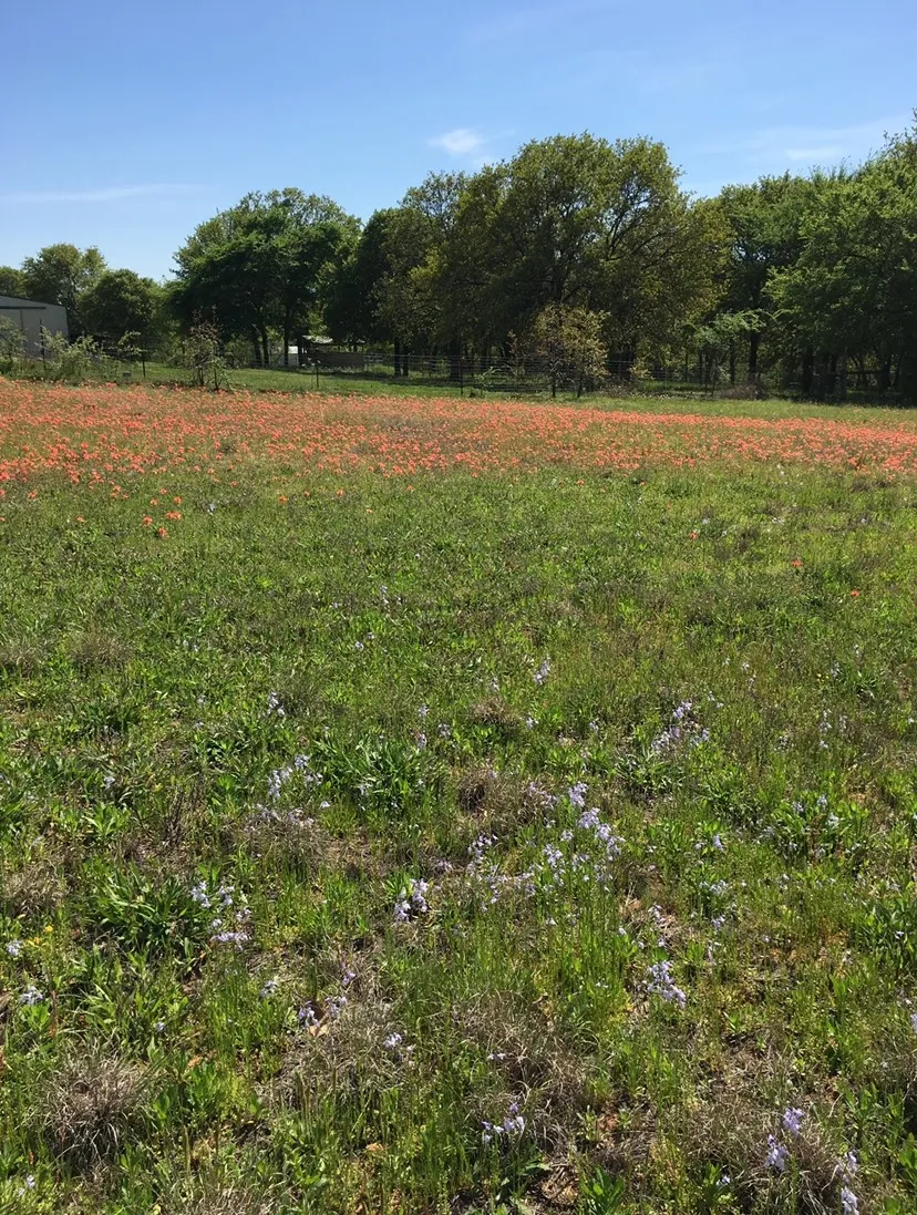 4571 Running Branch Aubrey, TX 76227