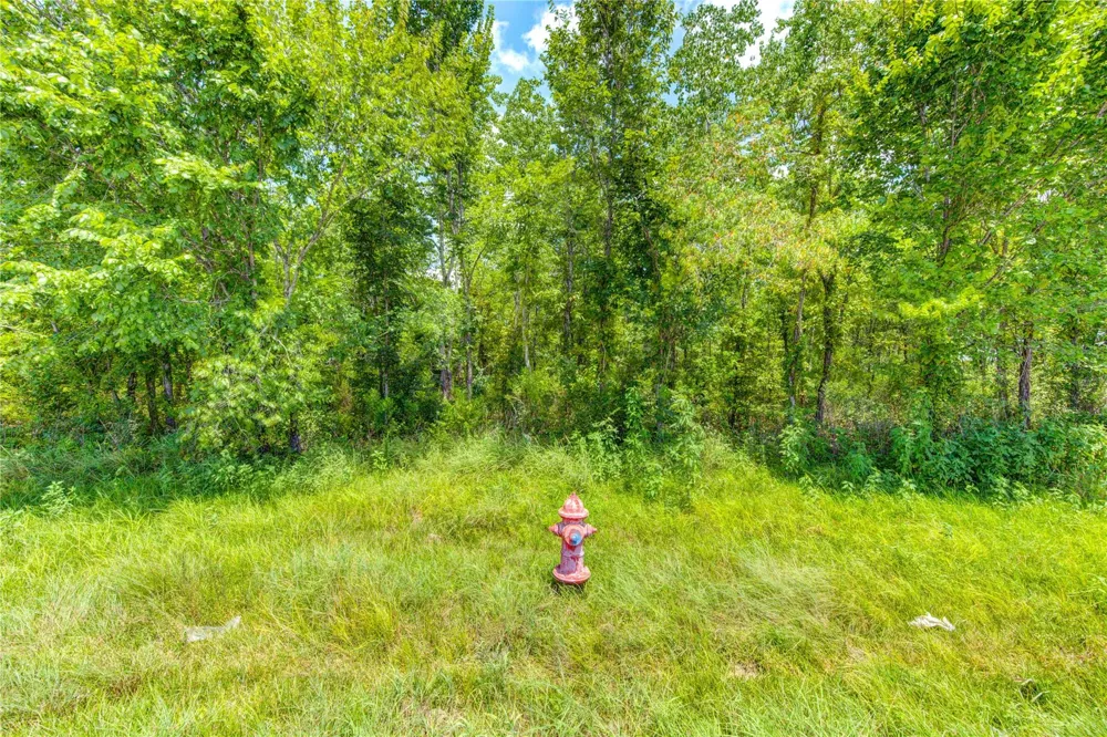 County Road 133 Road Alvin, TX 77511