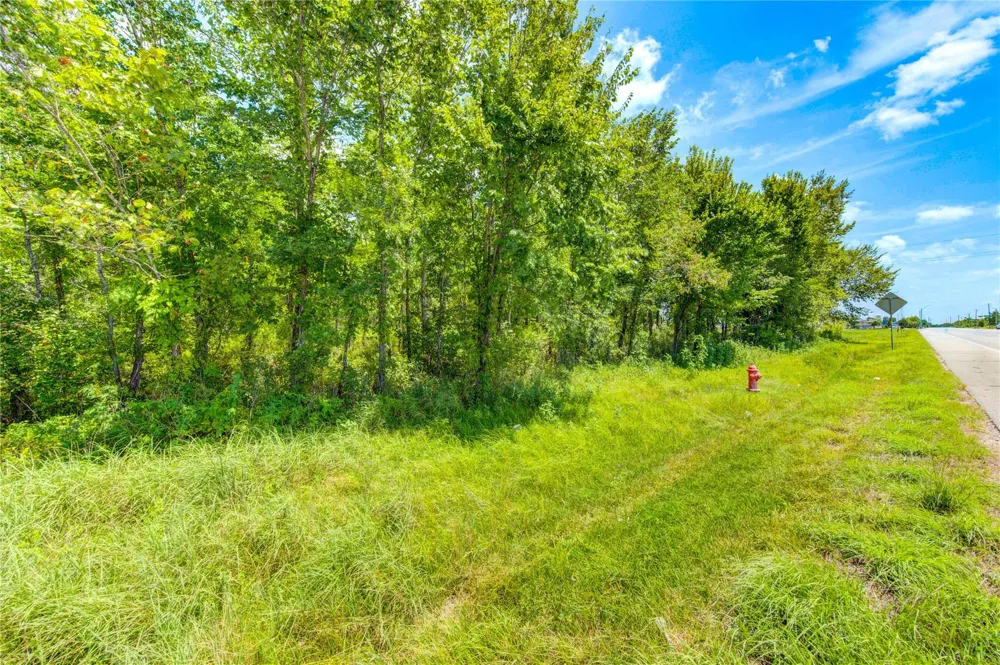 County Road 133 Road Alvin, TX 77511