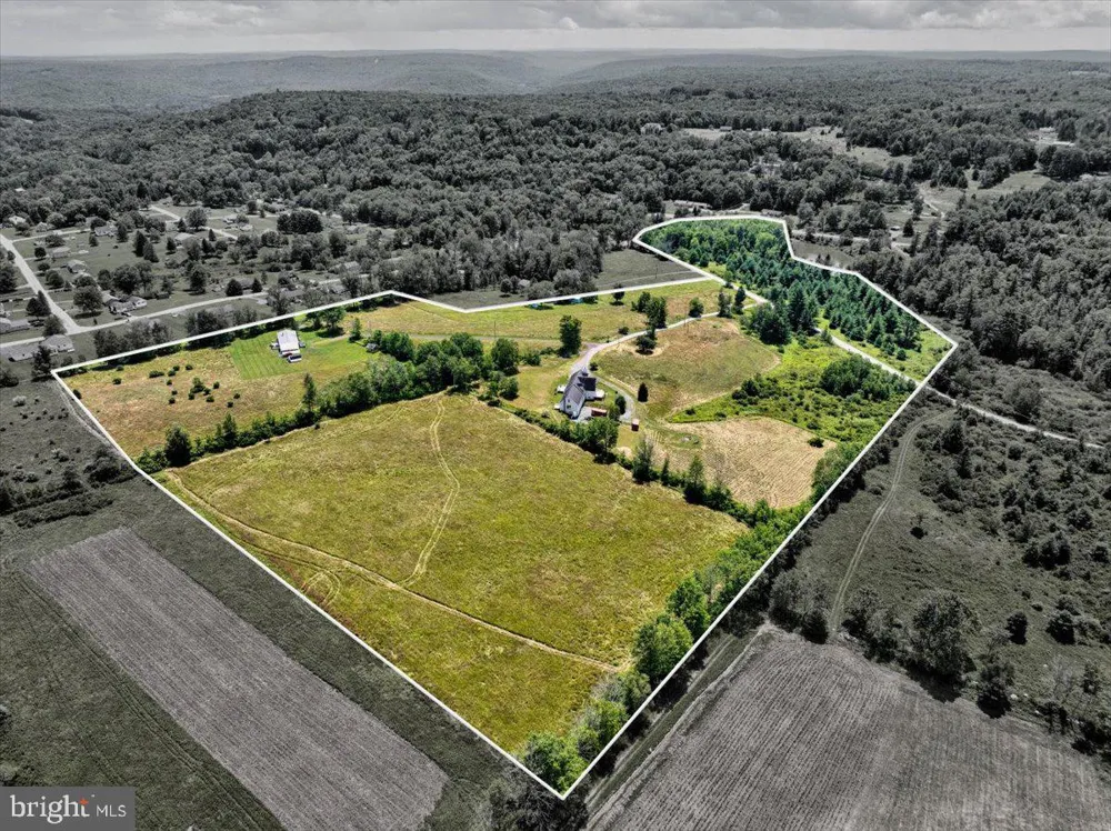 219 PLANK ROAD Beach Lake, PA 18405