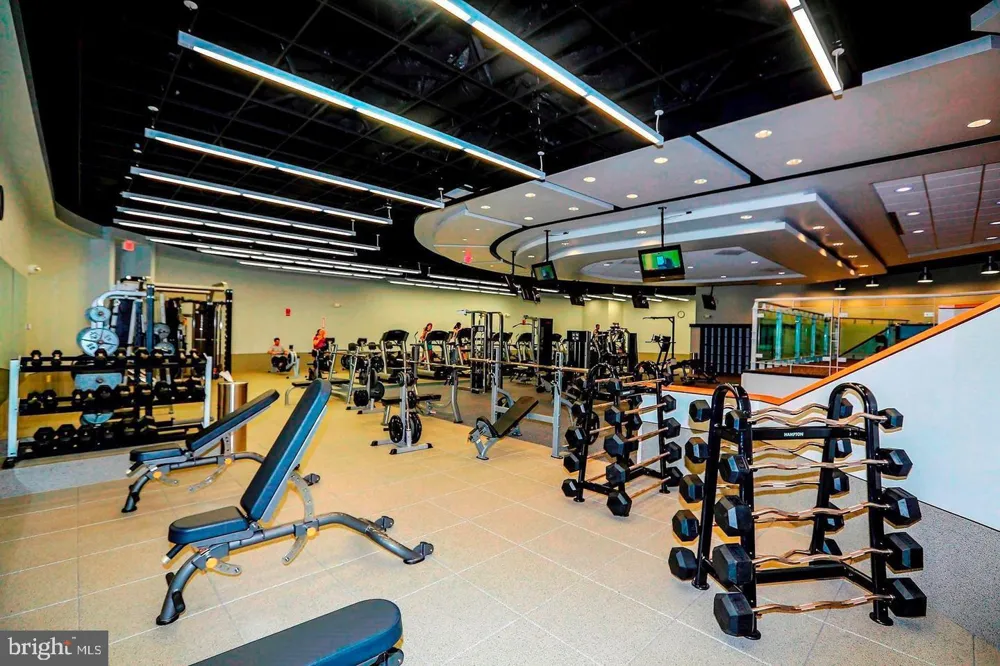 1021 ARLINGTON BOULEVARD #748 Arlington, VA 22209