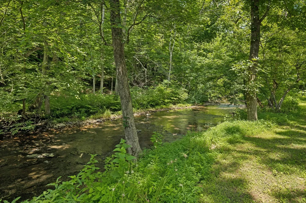 8188 Shoals Branch Rd Primm Springs, TN 38476