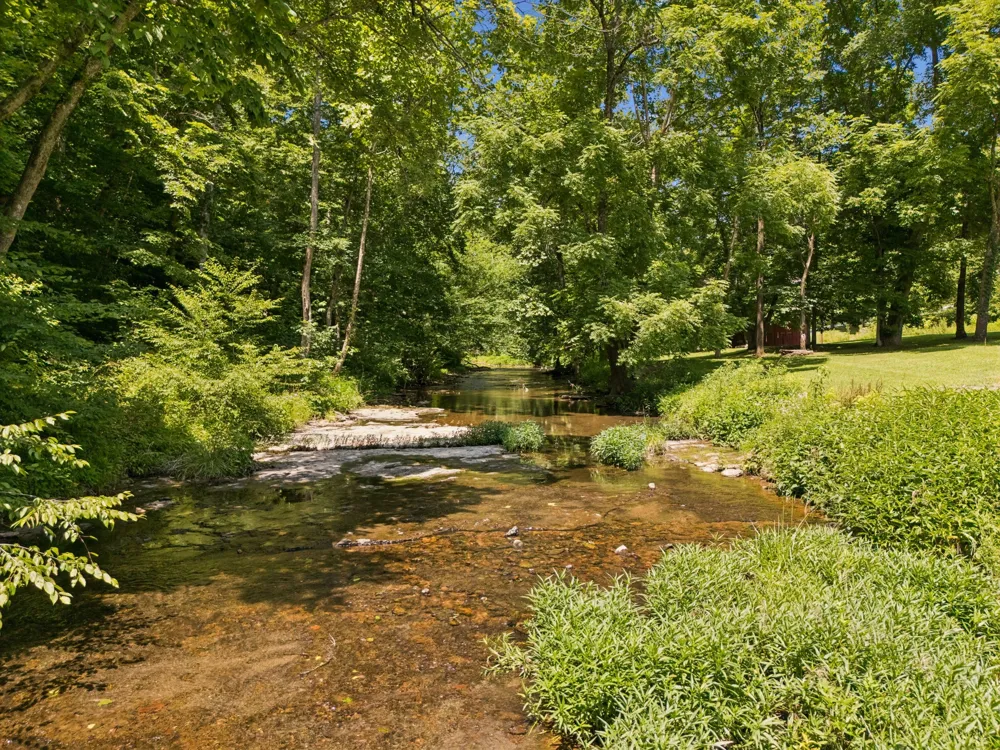 8188 Shoals Branch Rd Primm Springs, TN 38476