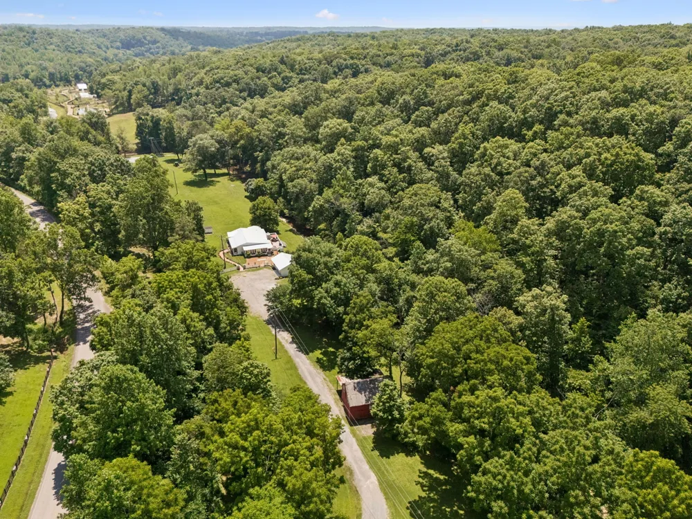 8188 Shoals Branch Rd Primm Springs, TN 38476