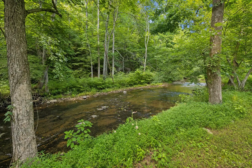 8188 Shoals Branch Rd Primm Springs, TN 38476