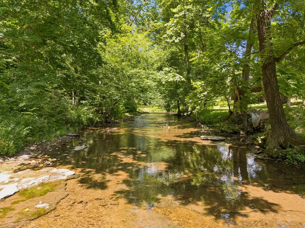8188 Shoals Branch Rd Primm Springs, TN 38476