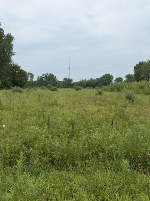 W. Linco Road - Parcel #1-A