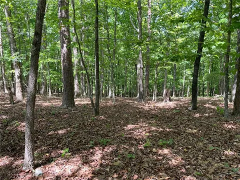 TR 1A Chalcrest Way