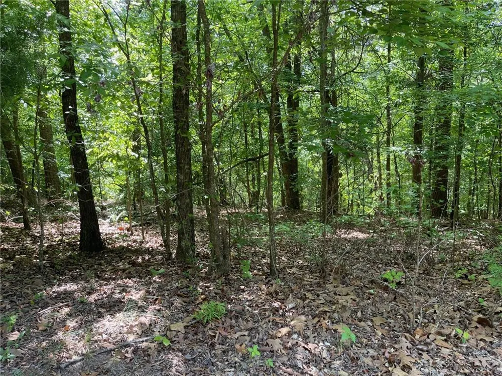 TR 1A Chalcrest Way Cave Spring, GA 30124