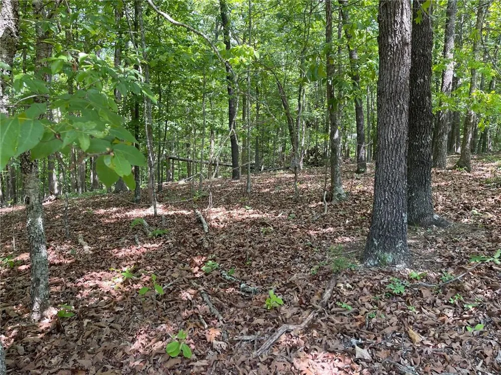 TR 1A Chalcrest Way Cave Spring, GA 30124
