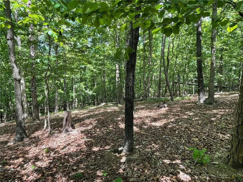 TR 1A Chalcrest Way Cave Spring, GA 30124
