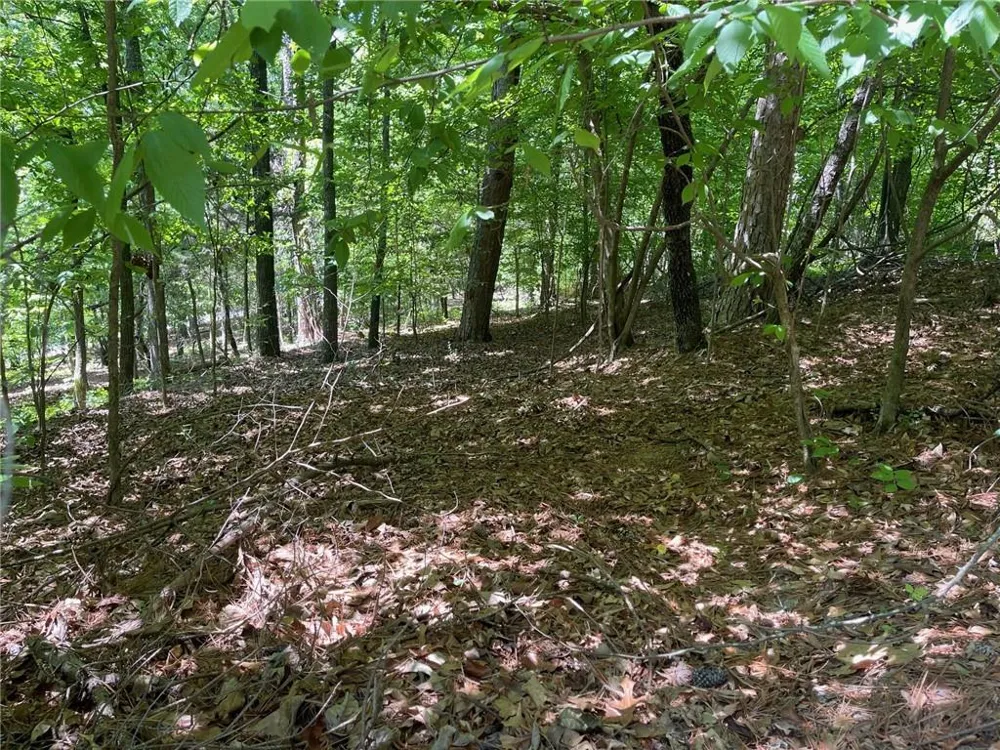 TR 1A Chalcrest Way Cave Spring, GA 30124