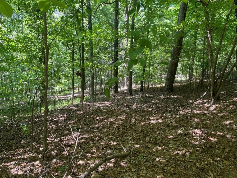 TR 1A Chalcrest Way Cave Spring, GA 30124