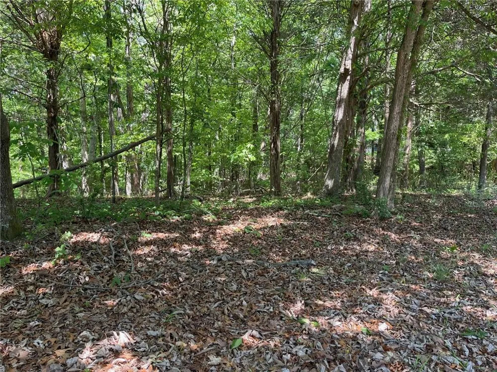 TR 1A Chalcrest Way Cave Spring, GA 30124