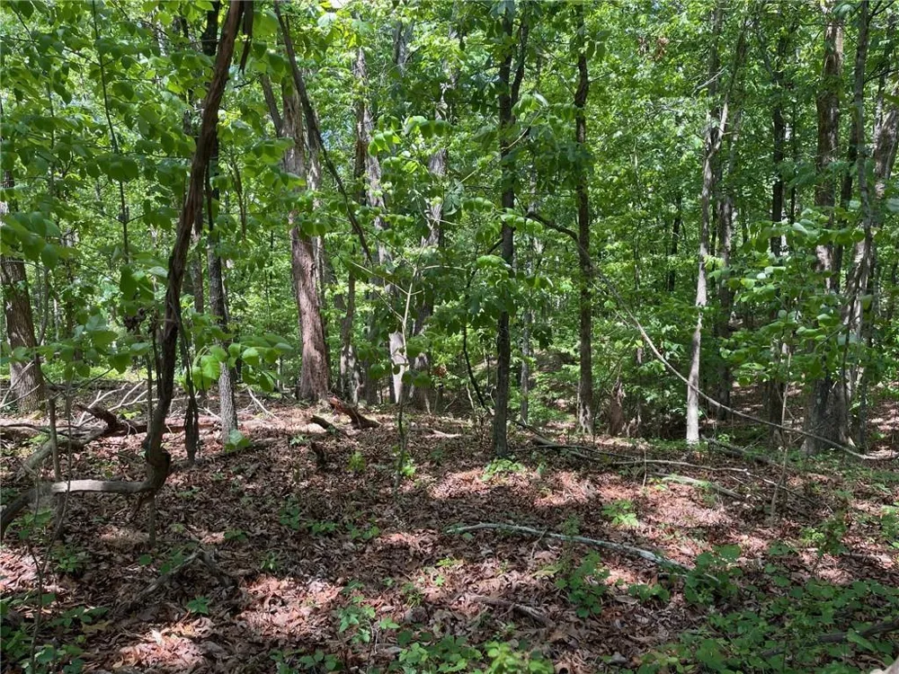 TR 1A Chalcrest Way Cave Spring, GA 30124