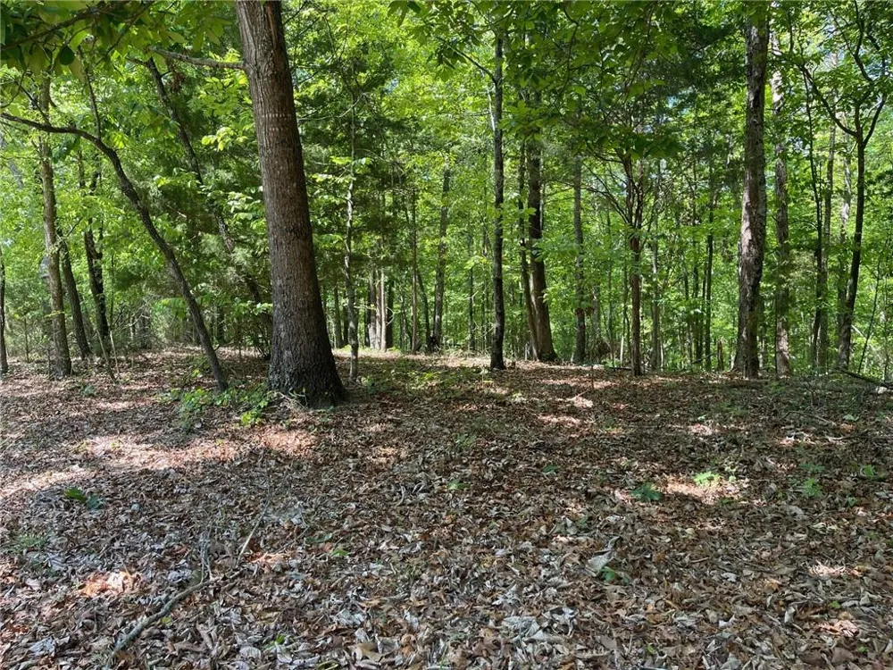 TR 1A Chalcrest Way Cave Spring, GA 30124
