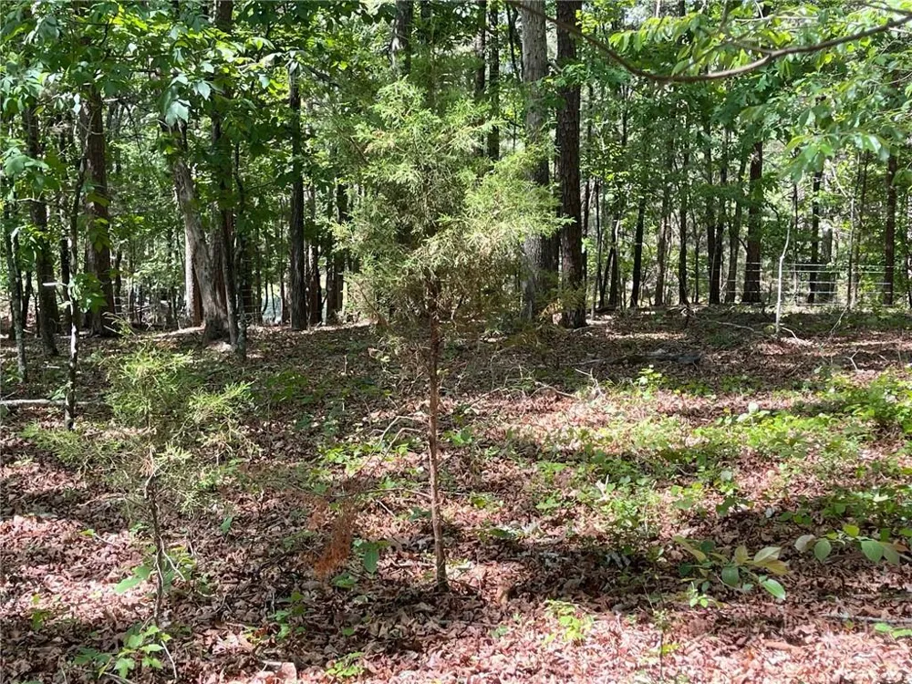 TR 1A Chalcrest Way Cave Spring, GA 30124