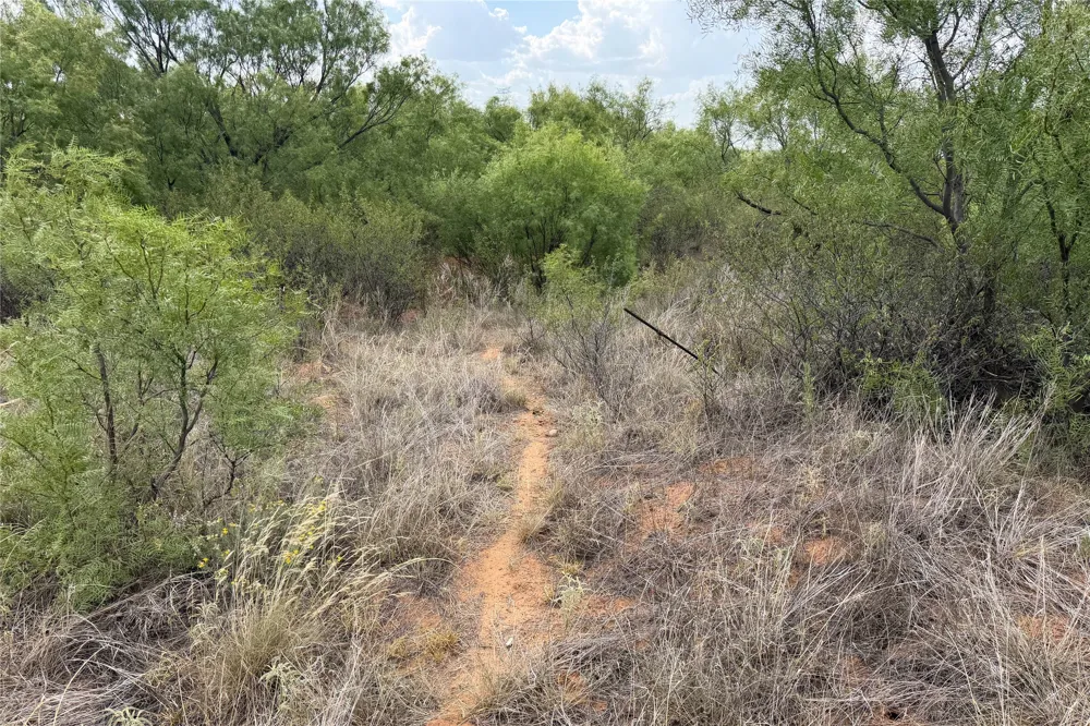 State Highway 70 Dickens, TX 79229