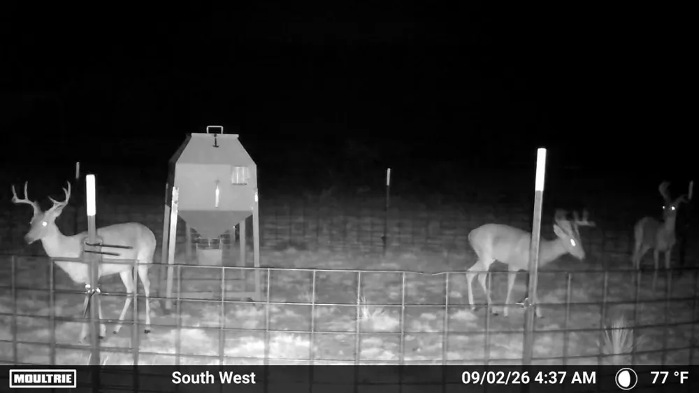 State Highway 70 Dickens, TX 79229