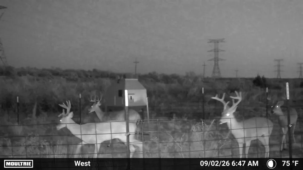 State Highway 70 Dickens, TX 79229