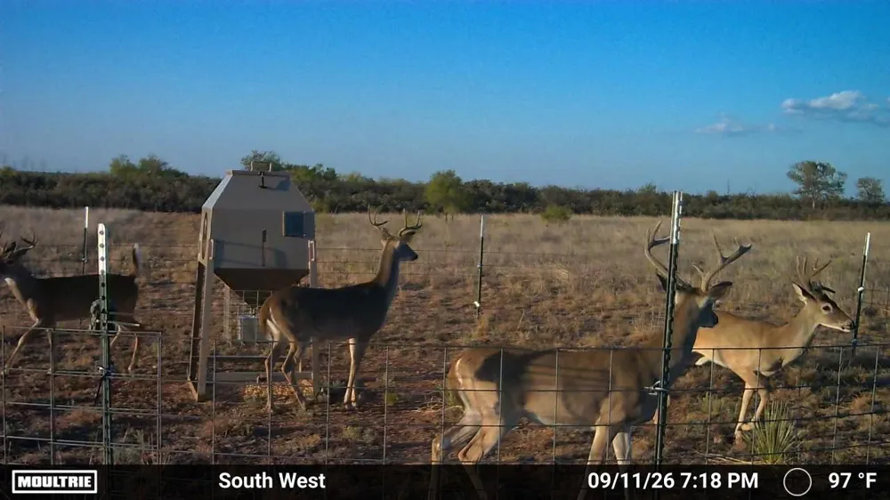 State Highway 70 Dickens, TX 79229