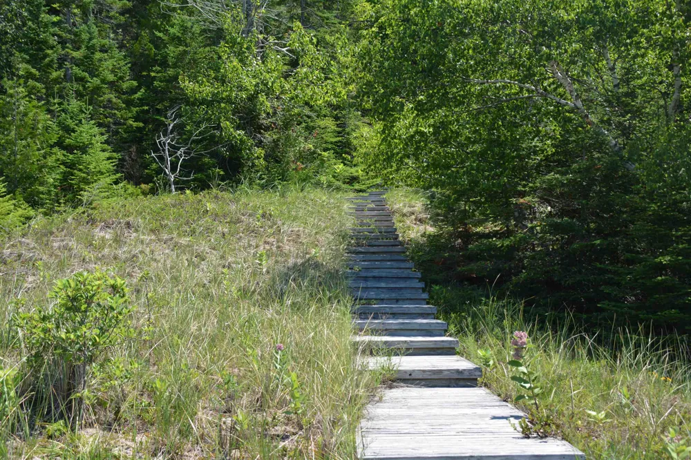 13515 Cathead West Leelanau Township, MI 49670