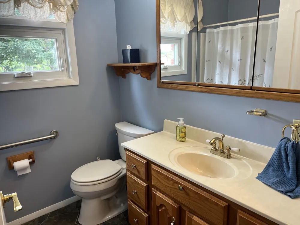 4782 W Lincoln Road Pine River Township, MI 48801