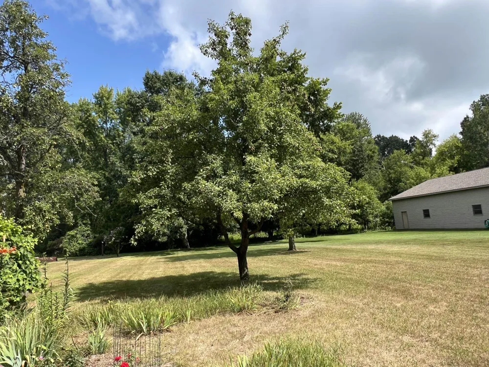 4782 W Lincoln Road Pine River Township, MI 48801