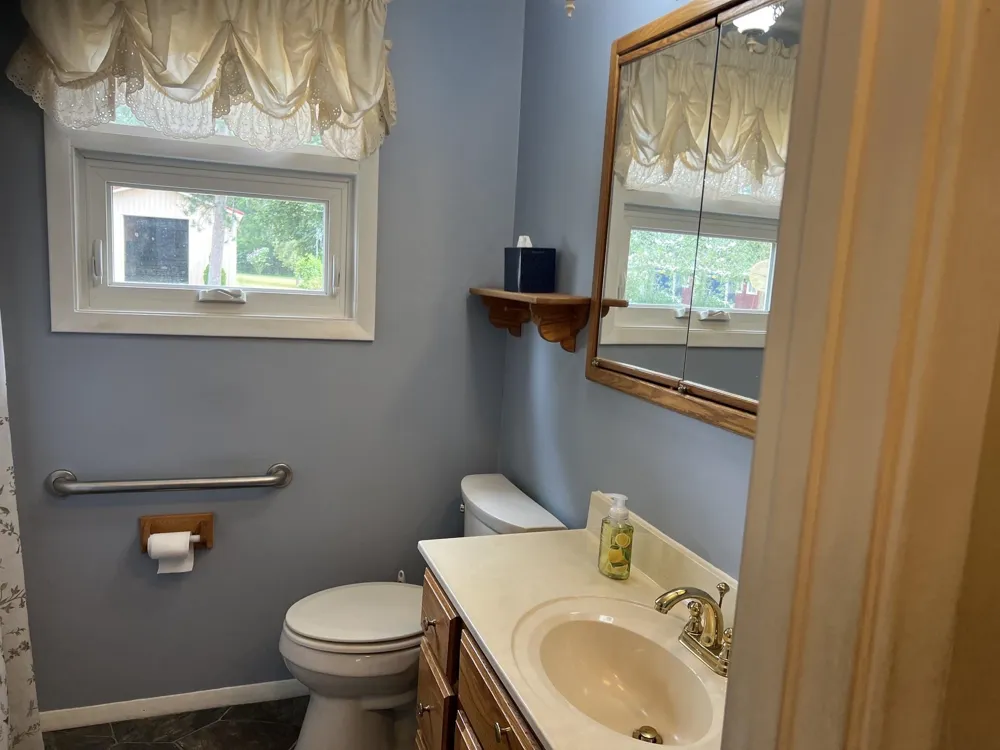 4782 W Lincoln Road Pine River Township, MI 48801