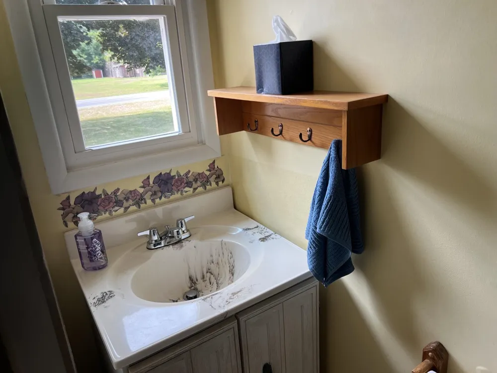 4782 W Lincoln Road Pine River Township, MI 48801