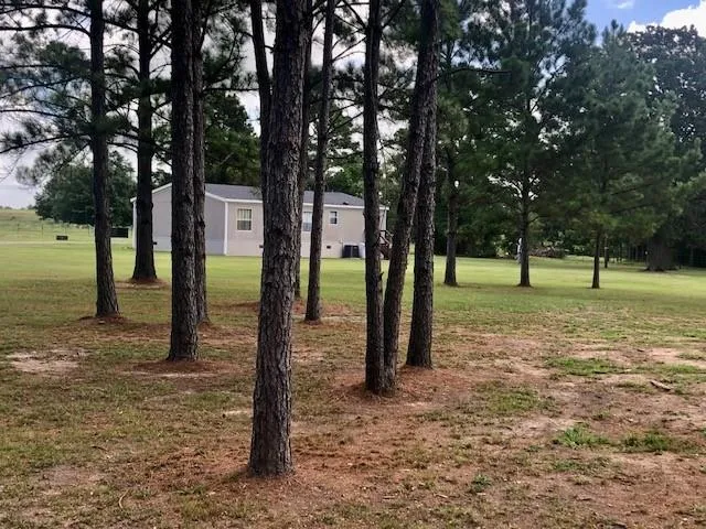 10932 Blackland Road Willis, TX 77318