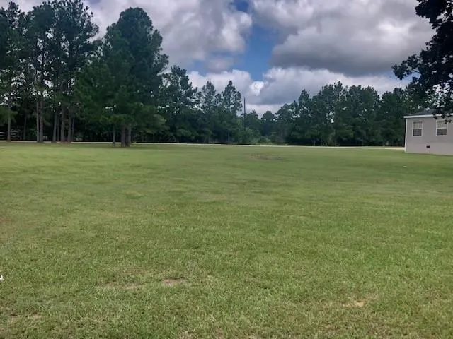 10932 Blackland Road Willis, TX 77318