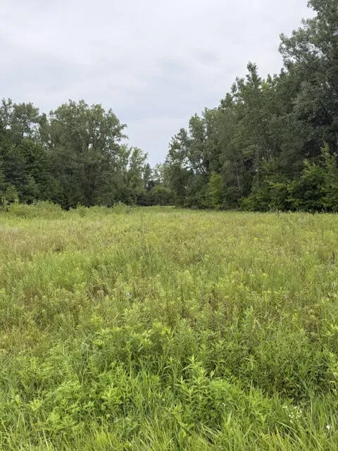 W. Linco Road - Parcel #2-B