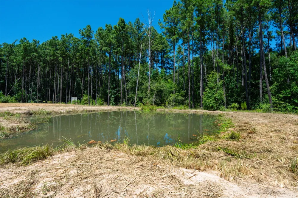 801 Pelican Road Shepherd, TX 77371
