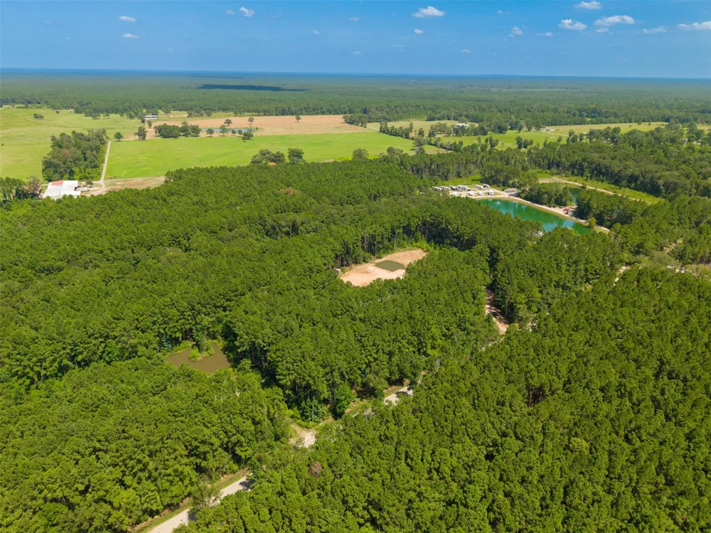 801 Pelican Road Shepherd, TX 77371