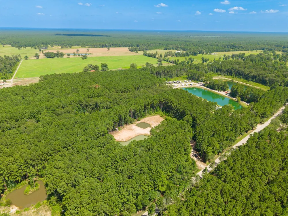 801 Pelican Road Shepherd, TX 77371